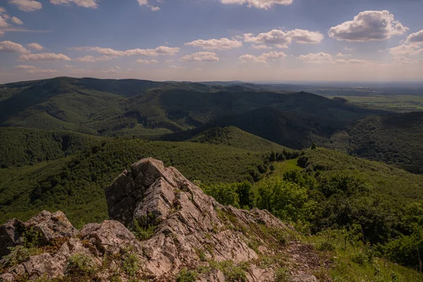 Skalnatý Vrchol Hory Vyčnívá Lesa — Stock fotografie