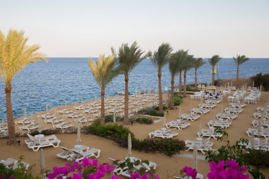 red sea beach