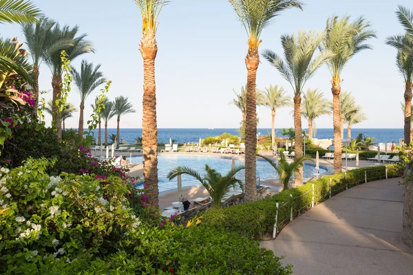 View of the pool — Stock Photo, Image