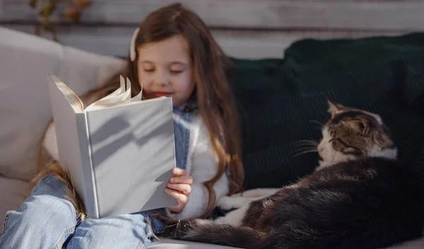 Осінні Сонячні Вихідні Кішкою Вдома Маленька Дівчинка Читає Книгу Веранді — стокове фото