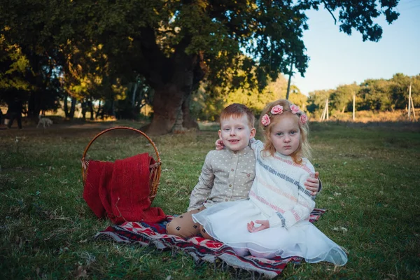 Krásné Rusovlasé Děti Odpočívají Večer Parku Okouzlující Bratr Sestra Pihami — Stock fotografie