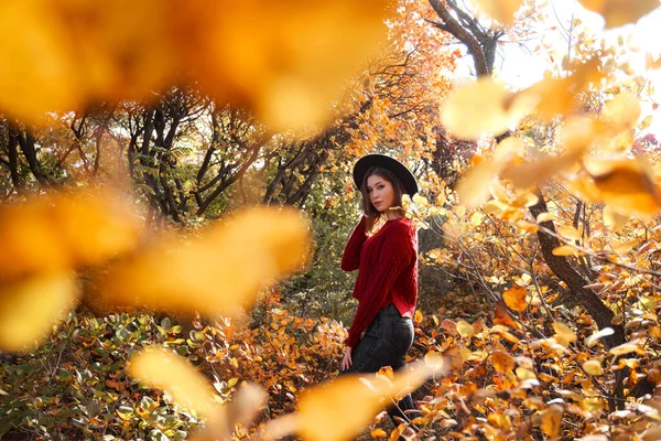 美丽的年轻女子穿着红色毛衣 头戴黑色帽子 走在秋天的森林里 温暖的阳光灿烂的天气 秋天的概念 — 图库照片