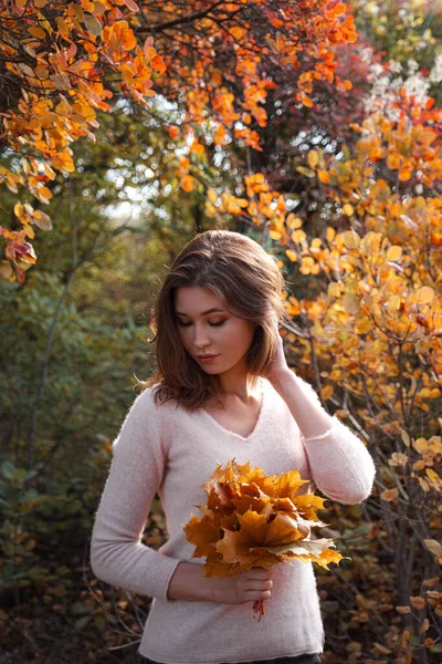 美しい若い女性は 秋の森の中を歩く 暖かい晴天 秋のコンセプト — ストック写真