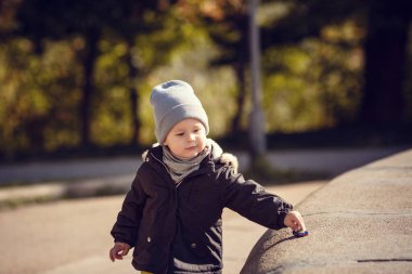 Güneşli bir günde küçük bir çocuk ve sonbahar parkı. Sonbahar havası. Temiz havada yürü.