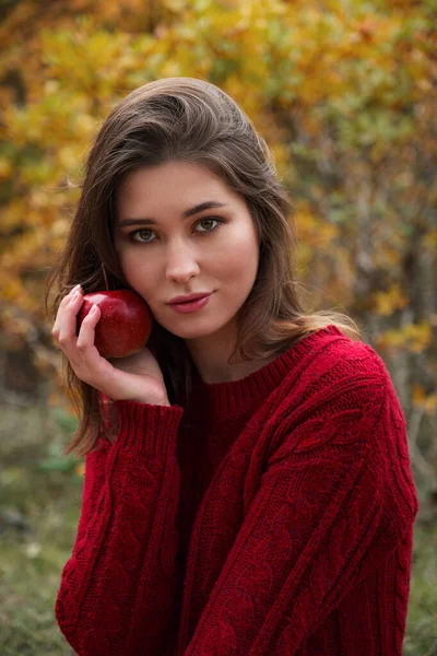 Picnic Autumn Forest Beautiful Asian Woman Red Sweater Sits Plaid — Stock Photo, Image