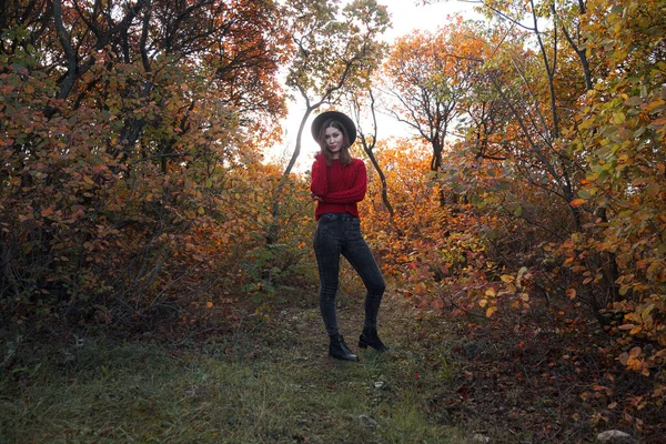 赤いセーターと黒い帽子を着て 秋の森の中を歩く美しい若い女性 暖かい晴天 秋のコンセプト — ストック写真
