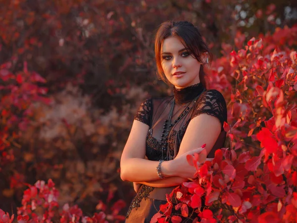 黒いドレスの女性は赤い秋の森で夕日を楽しむ エレガントなヴィンテージドレスの女性の王女 — ストック写真