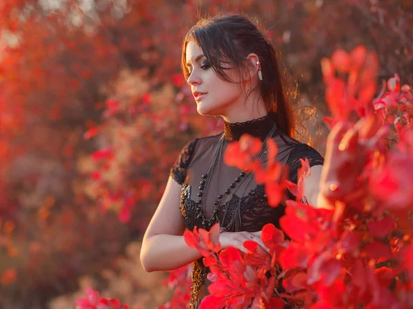 Woman Black Dress Enjoys Sunset Red Autumn Forest Lady Princess — Stockfoto
