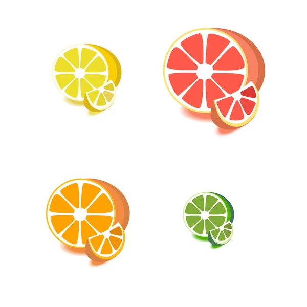Sada citrus ikon — Stockový vektor