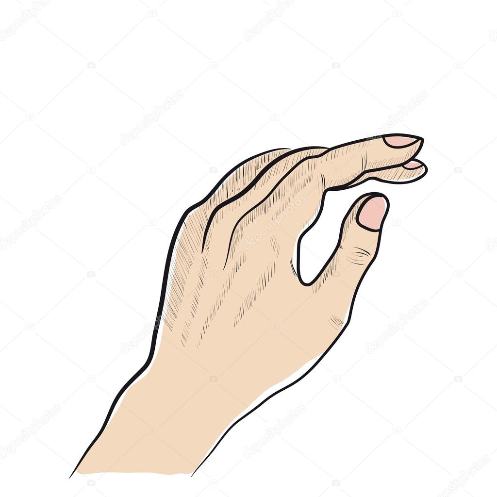 Vector illustration of human hand