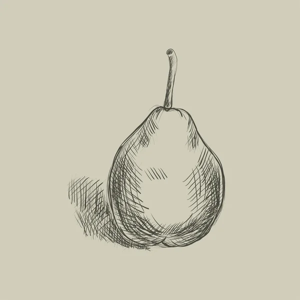 Schizzo di una pera. Disegnati a mano — Vettoriale Stock