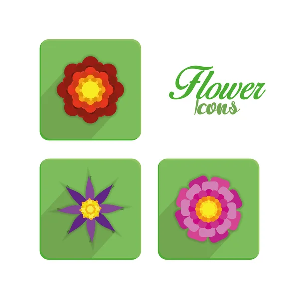 Conjunto de flores coloridas elegantes ícones isolados — Vetor de Stock