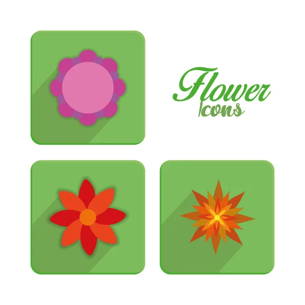 Conjunto de flores coloridas elegantes iconos aislados — Archivo Imágenes Vectoriales