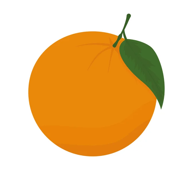 Stylish Orange Isolated On Blue Background — Stock Vector