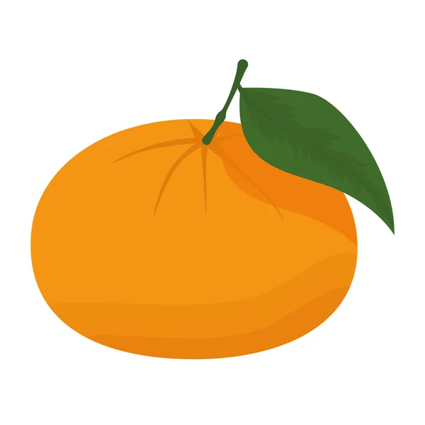 孤立的白色背景上的时尚橘 — 图库矢量图片
