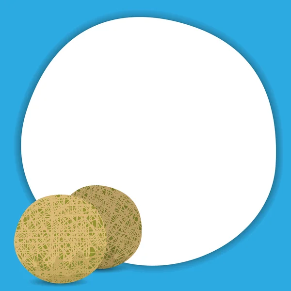 Stylish Melon Isolated On Blue Background — Stock Vector