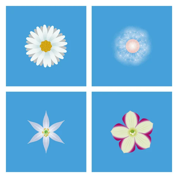 Set Of Different Colorful Flowers Isolated — Stock Vector