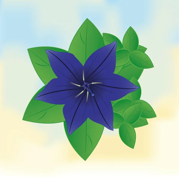Stylish Flower Illustration Isolated On Background — Stock Vector