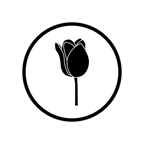 Abstrakte Blume schwarze Silhouette Illustration — Stockvektor