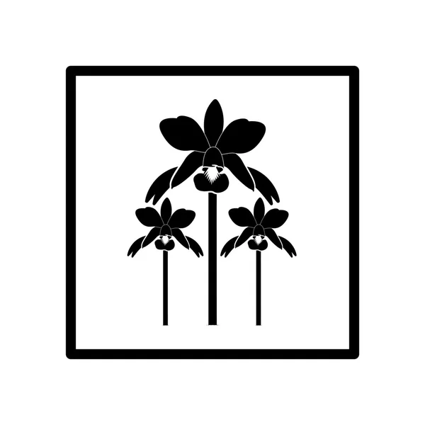ลักษณะ:ดอกไม้นามธรรม สีดํา สีลูเอท — ภาพเวกเตอร์สต็อก