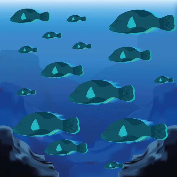 Η σκηνή φόντου με μια ομάδα των ψαριών — Διανυσματικό Αρχείο
