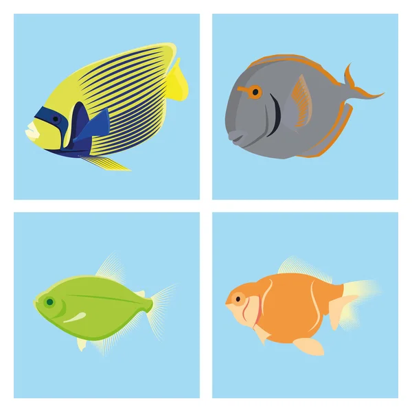 Set Of different Fishes Isolated On Background - Stok Vektor