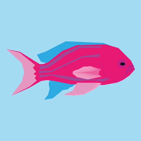 Pink Fish Isolated On Blue Background — Stock Vector