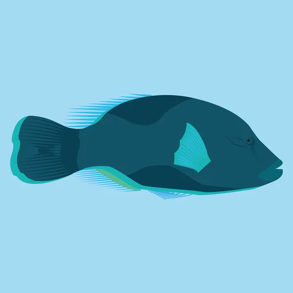 Blue Fish Isolated On Blue Background — Stock Vector