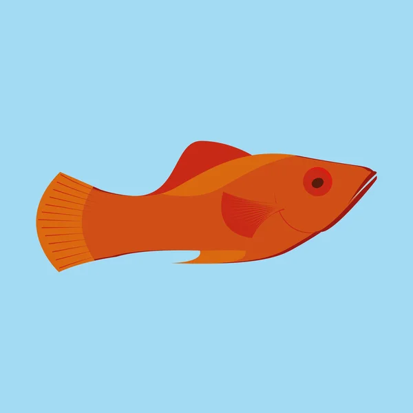 Orange Fish Isolated On Blue Background — Stock Vector