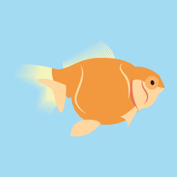 Orange Fish Isolated On Blue Background — Stock Vector