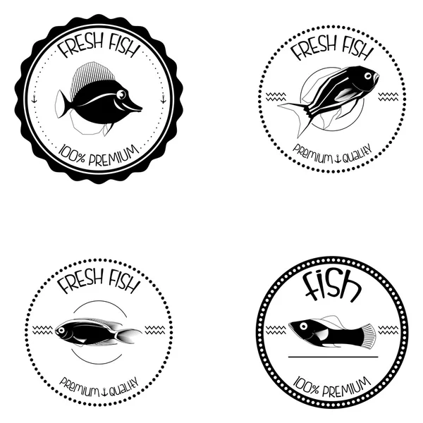 Set Of Different Fish Labels Isolated — Stock Vector