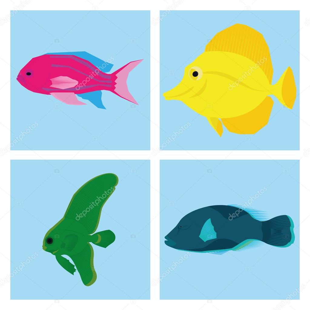 Set Of Different Fishes Isolated On Background