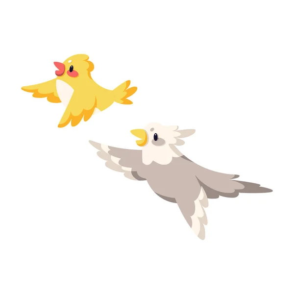 Pair of cute birds flying around Vector — Vetor de Stock