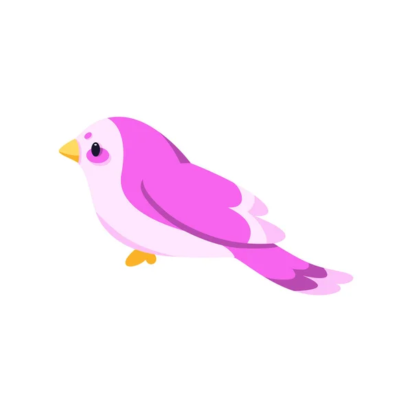 İzole edilmiş şirin ve renkli kuş vektörü — Stok Vektör