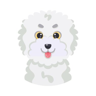 İzole edilmiş bir Fransız kaniş köpeği avatarı.