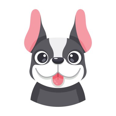 Boston teriyeri köpek cinsi bir Vektör 'ün izole edilmiş şirin avatarı