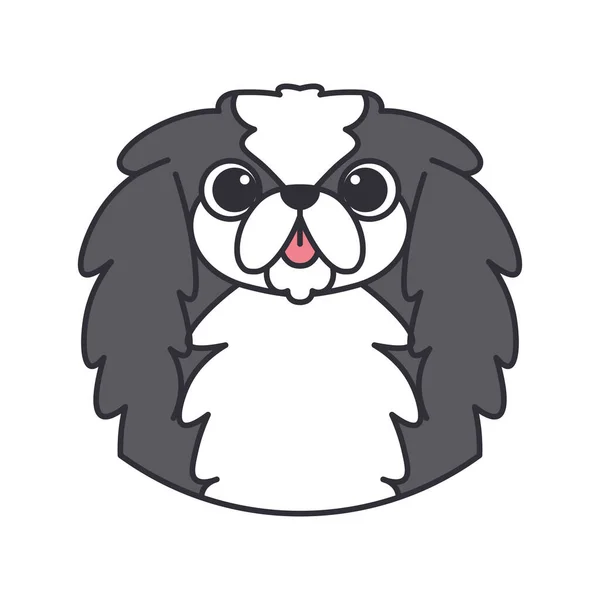 Isolated cute avatar of a japanese chin dog breed Vector — Stock Vector