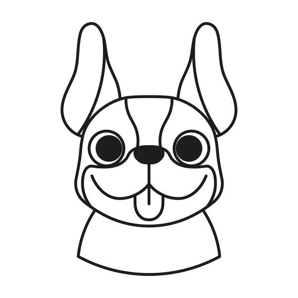 Avatar mignon isolé d'un chien de race Boston terrier vecteur — Image vectorielle