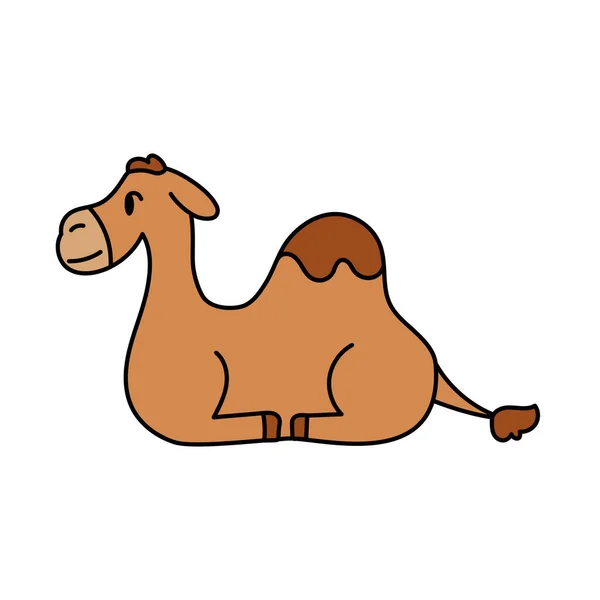 Geïsoleerde kameel Belen vector illustratie — Stockvector