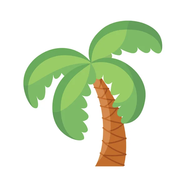 Izolovaná palmová Belen vektorová ilustrace — Stockový vektor