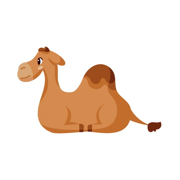 Isolated camel Belen vector illustration — Stockvektor