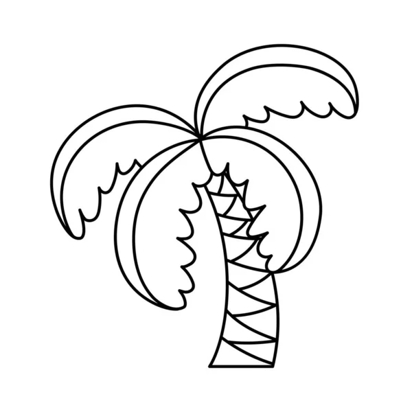 Geïsoleerde palm Belen tekenen vector illustratie — Stockvector