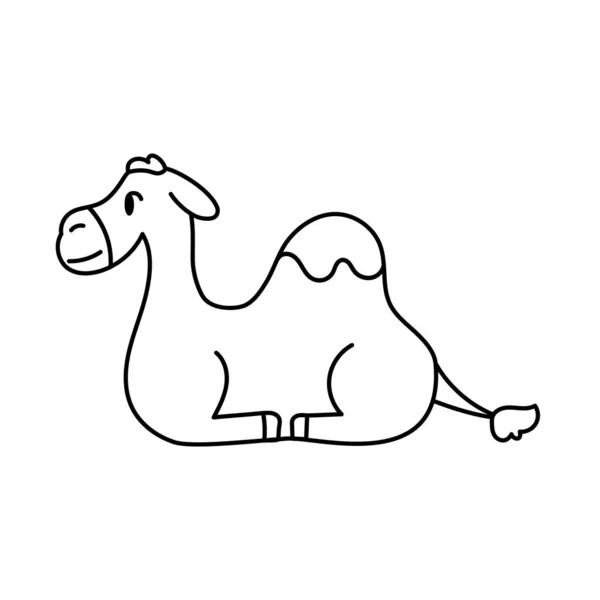 Isolerad kamel Belen rita vektor illustration — Stock vektor
