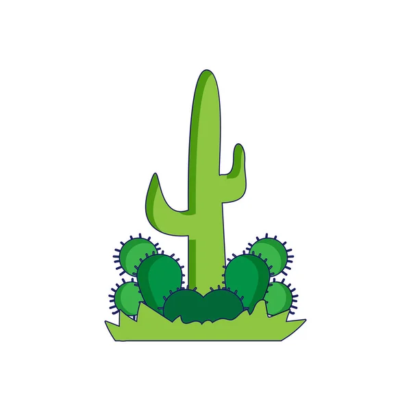 Icône isolée de cactus Concept environnemental Vecteur — Image vectorielle