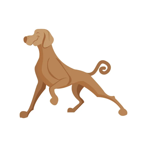 Izolovaný pes animované zvířata vektorové ilustrace — Stockový vektor