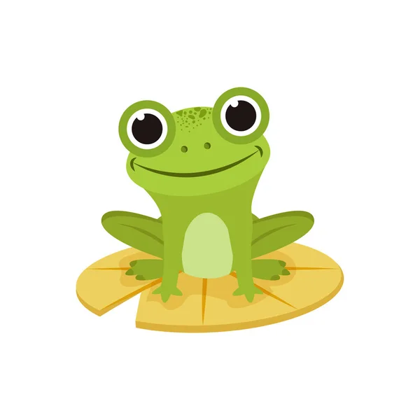 孤立青蛙动漫动物病媒图解 — 图库矢量图片