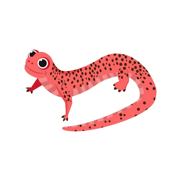 Isolated salamander animated animals vector illustration — Stock Vector