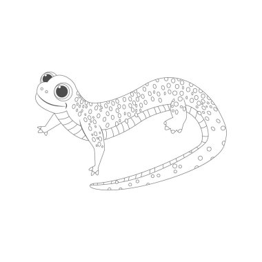 İzole edilmiş semender, canlandırılmış hayvan vektör illüstrasyonu çizer