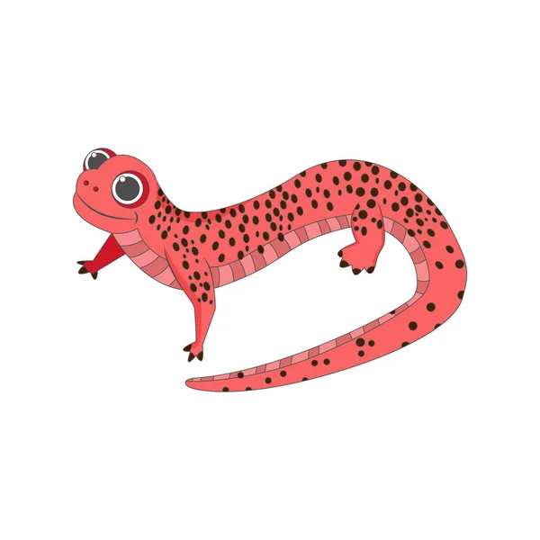 Isolados animais animados salamandra ilustração vetorial — Vetor de Stock