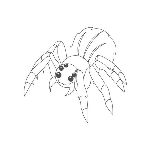 Spider isolato disegnare animato animali vettoriale illustrazione — Vettoriale Stock